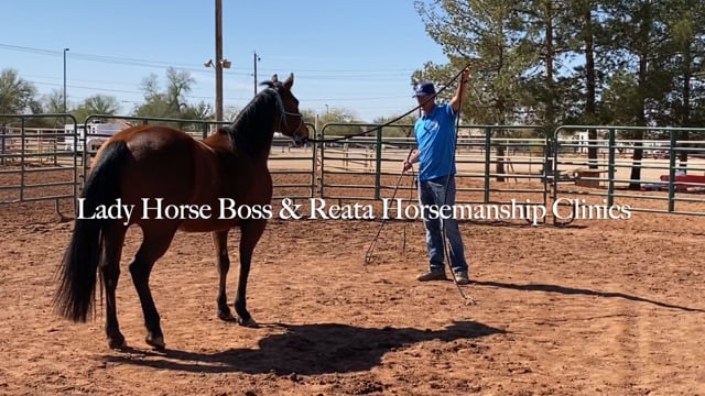 Horsemanship