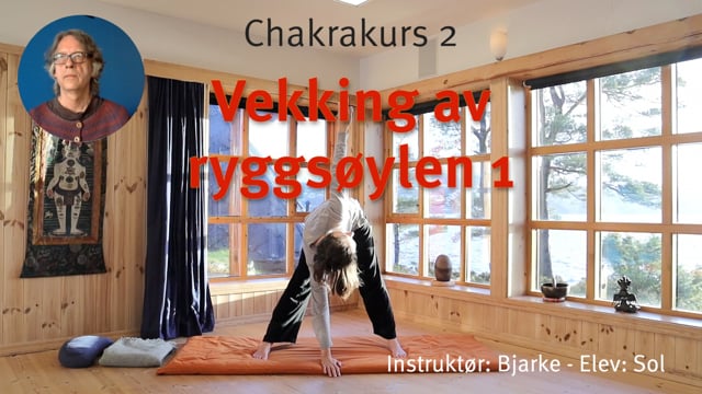 2. Vekking av ryggsøylen: Trekantstillinger