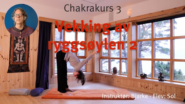 3. Vekking av ryggsøylen: Rygg- og skulderøvelser