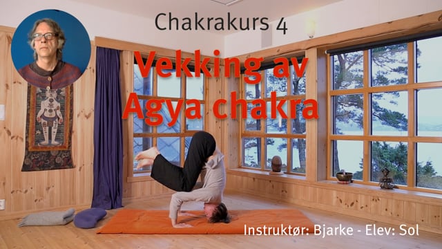 4. Vekking av Agya chakra