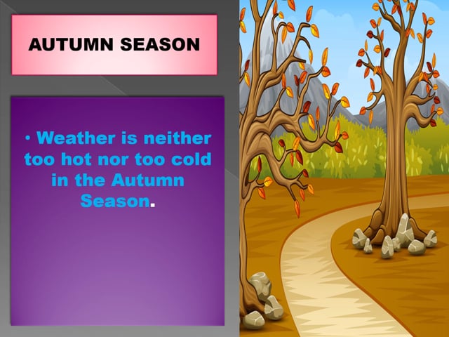 Seasons