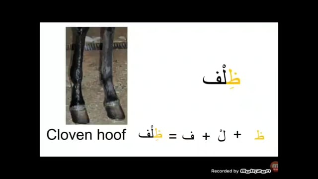 Arabic Lesson 07