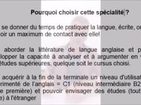 Spécialité Anglais