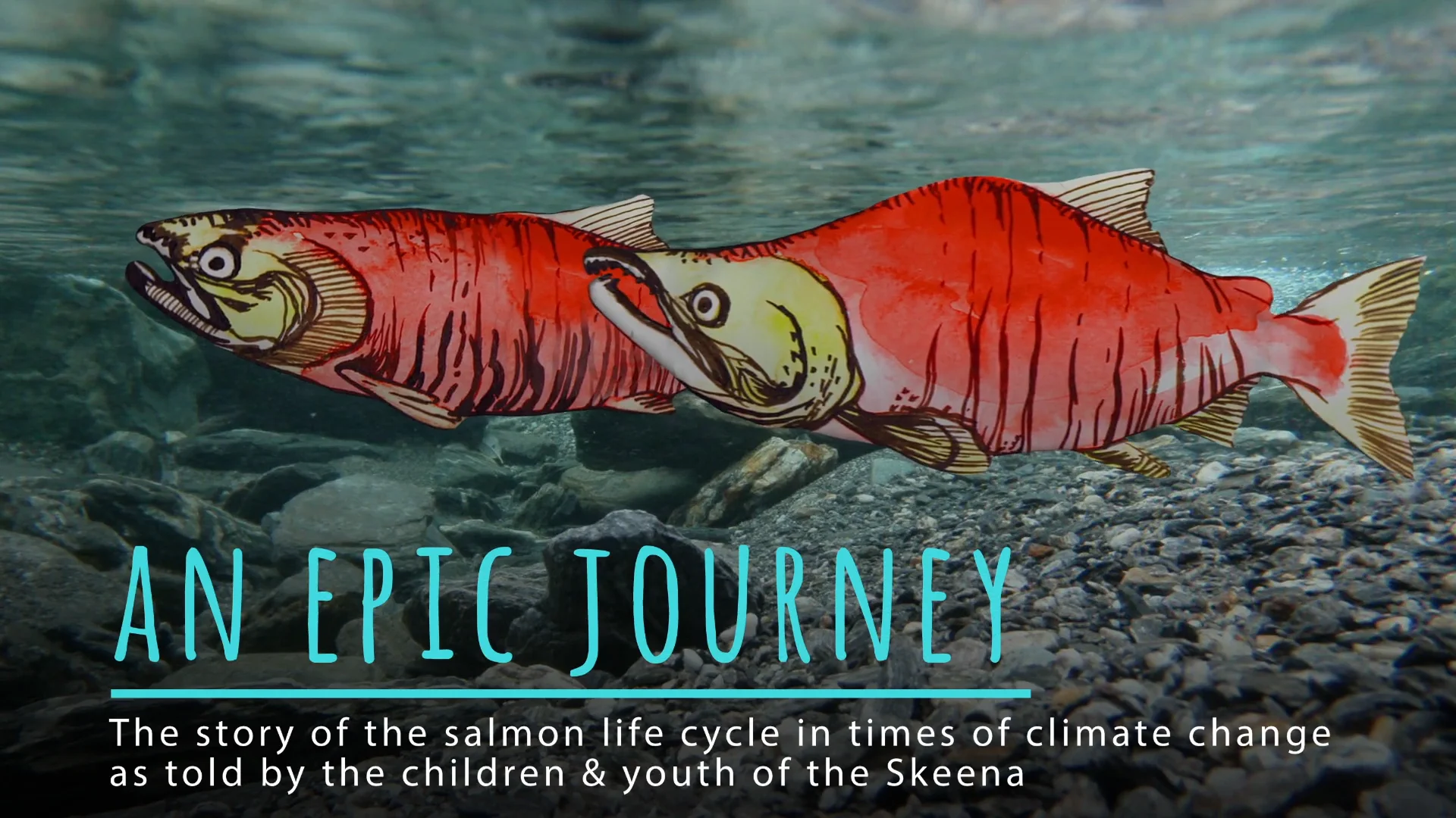 The Salmon Journey