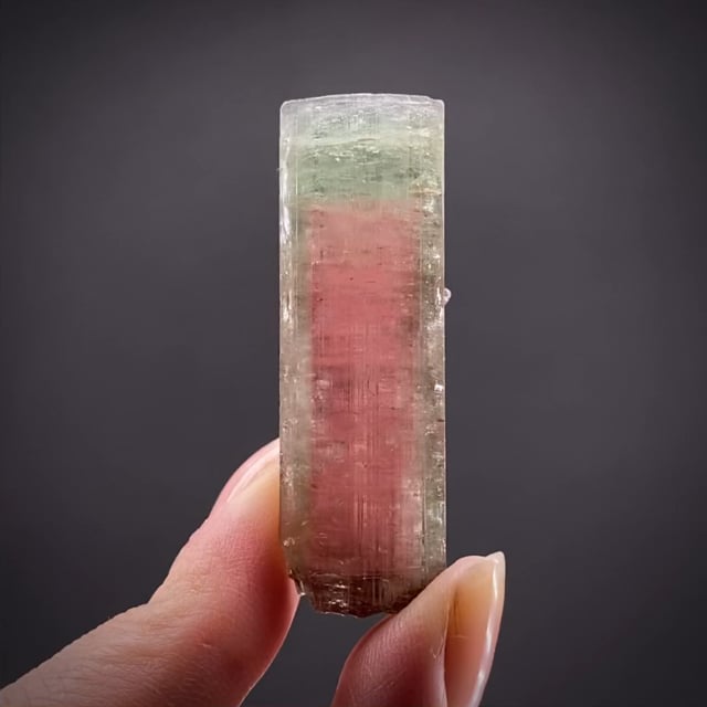 Elbaite Tourmaline (doubly-terminated floater)