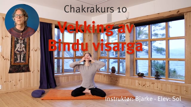 10. Vekking av Bindu visarga