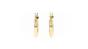 2.5mm 14kt Yellow Gold Hoop Earrings