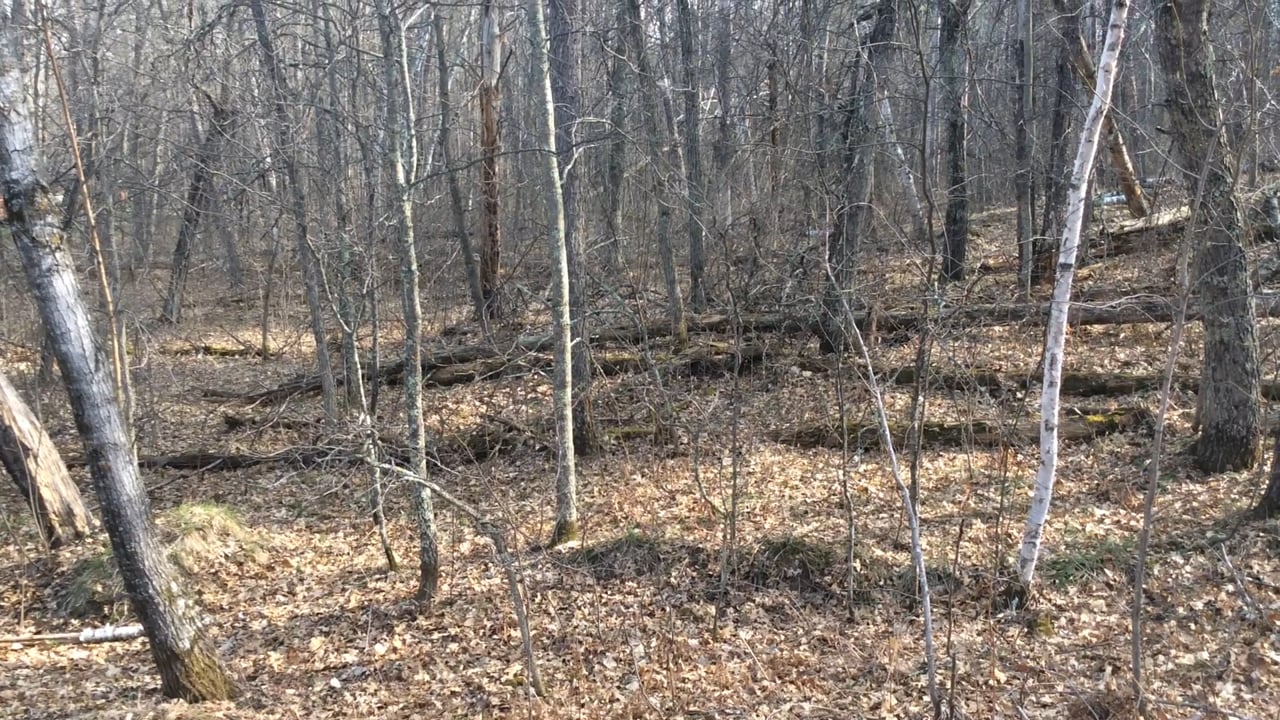 Breezy Point Crow Wing County MN Recreational Property Hunting 