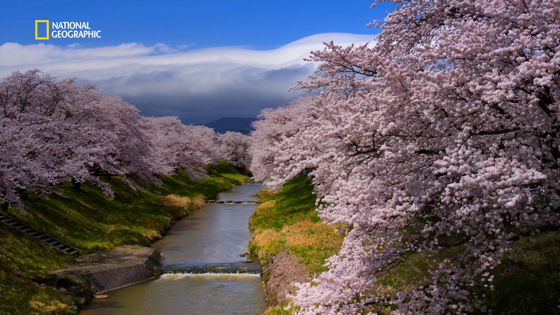 JR-EAST Visit Tohoku | SEASON