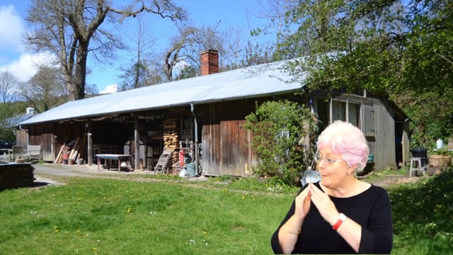 Vimeo Thumbnail (API)