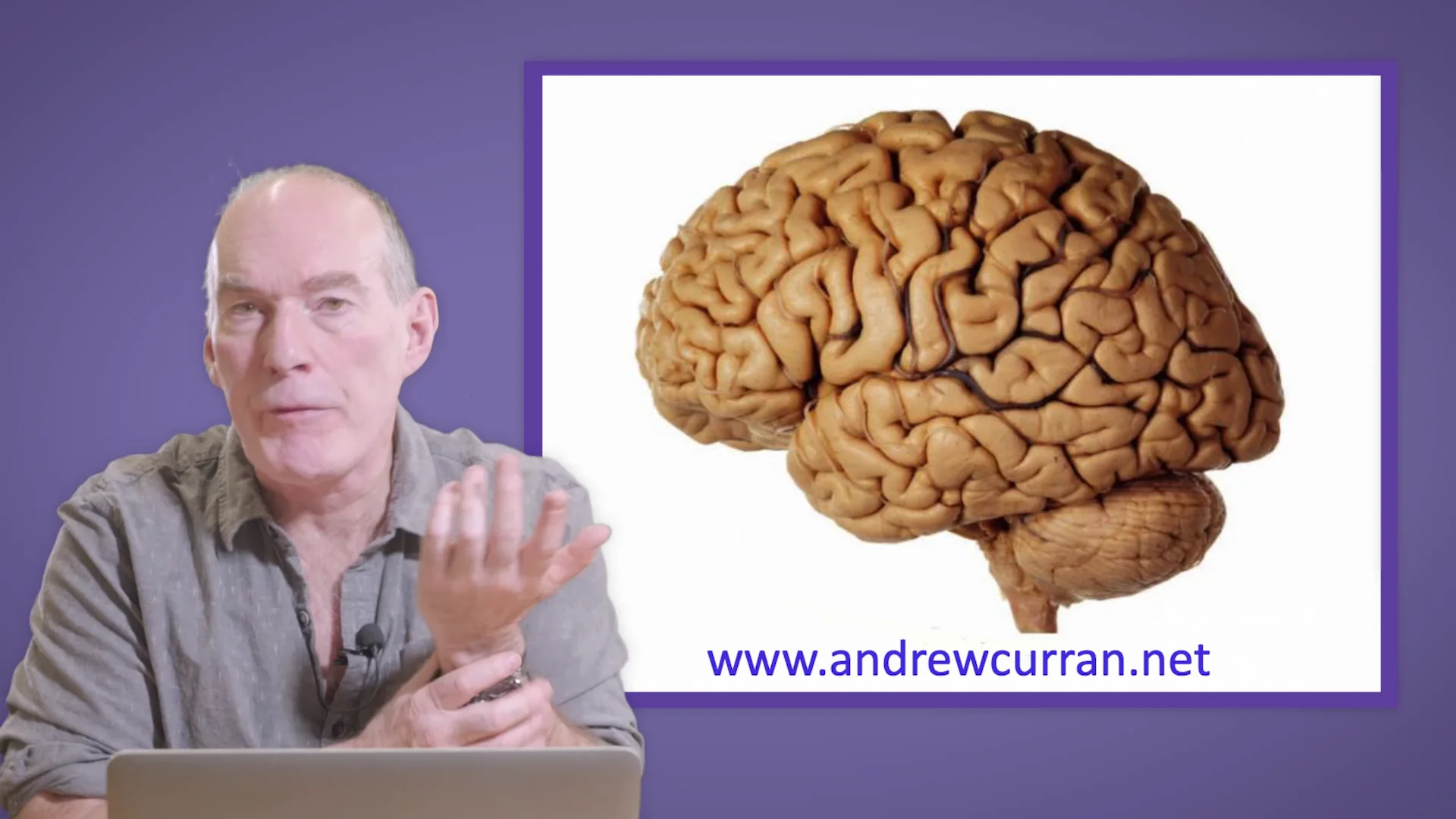 The Neurobiology of ADHD by Dr Andrew Curran Consultant Paediatric