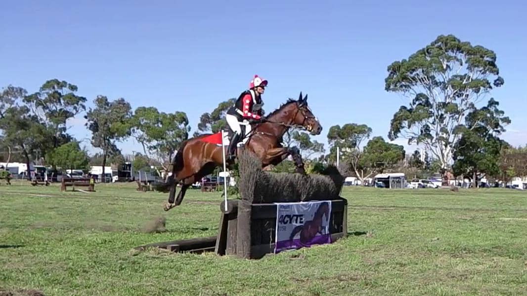 Nicolette Rippon riding ASH BIRRE PARK ZAZU 129 CCN1 Ballarat Horse