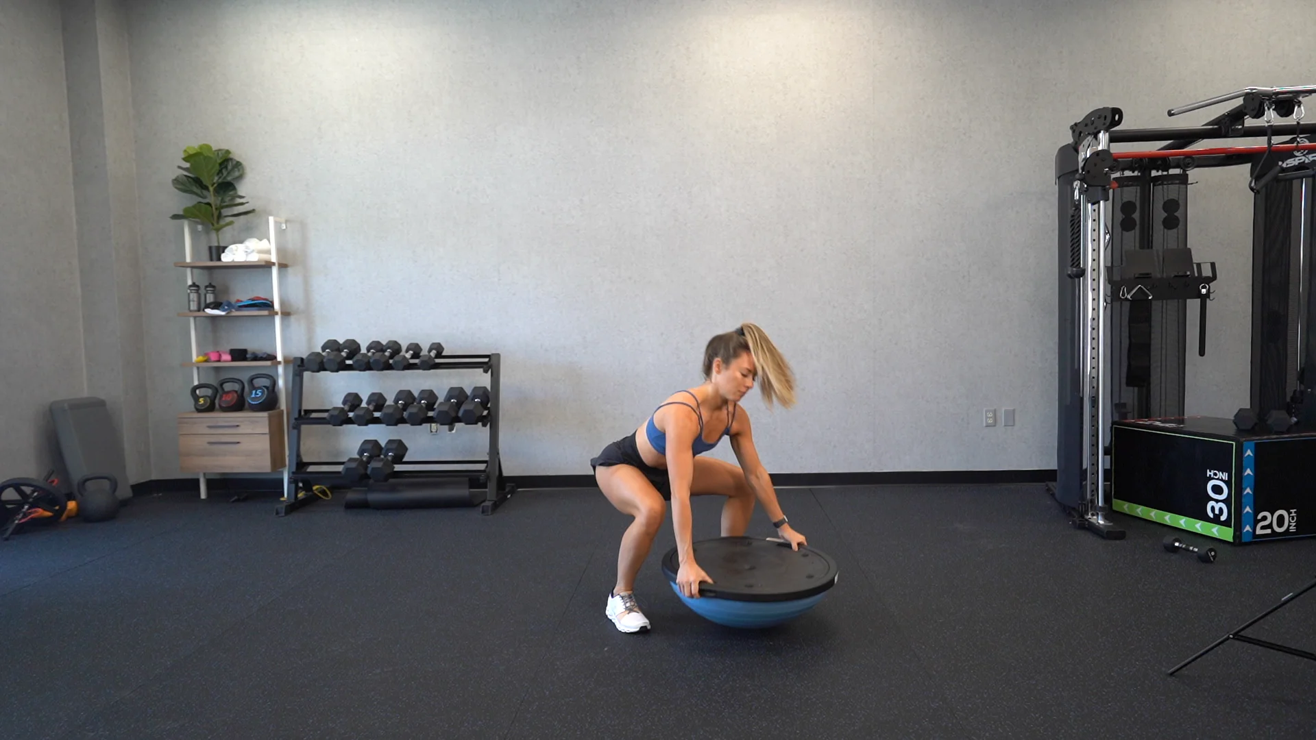 Bosu best sale mountain climbers