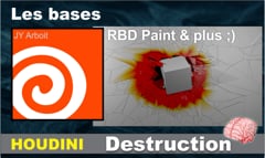 08 RBD Paint