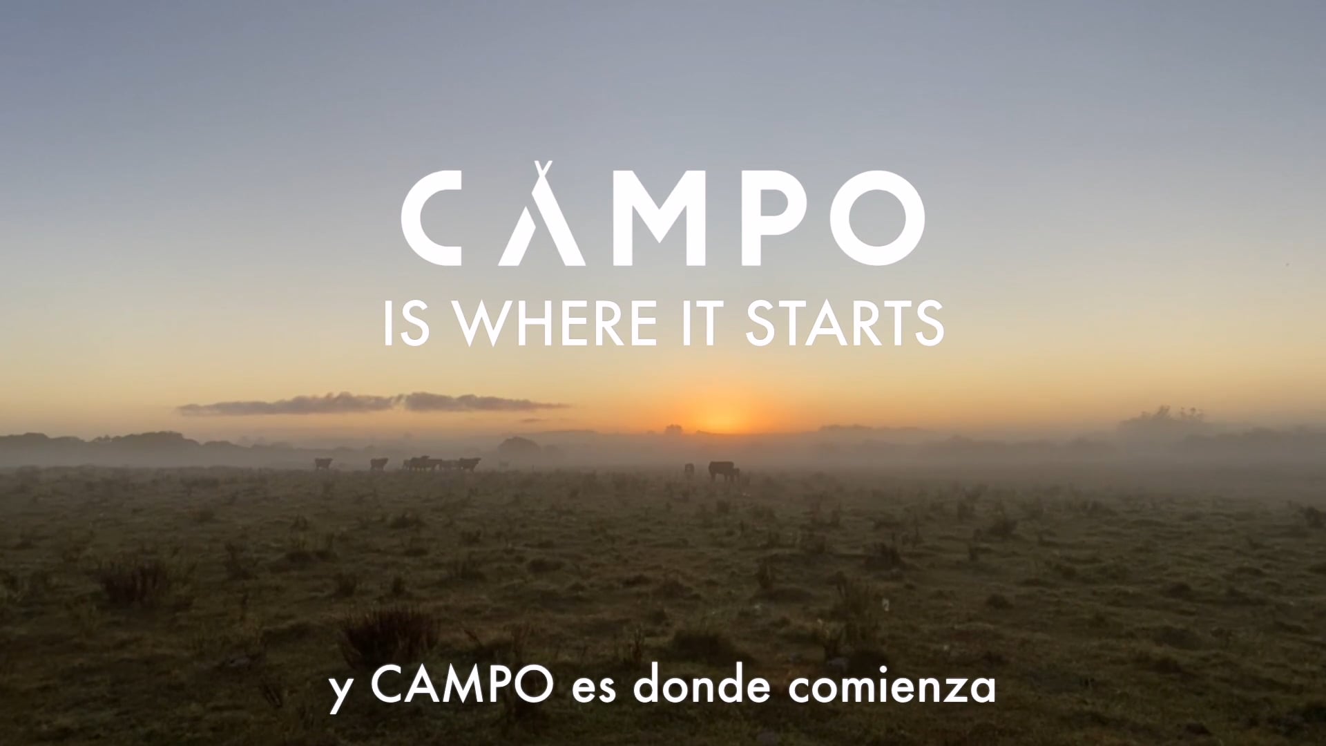 This is CAMPO!