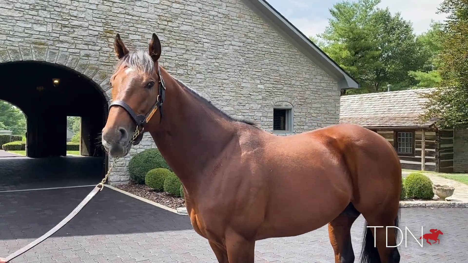 TDN Stallions Practical Joke on Vimeo