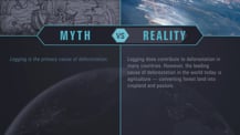 A simple chart with two columns, each with a header image: a mythical drawing on the left and a satellite image of Earth on the right. The "Myth vs. Reality" logo appears toward the chart's top, with "Myth" positioned at the top of the left column, and "Reality" positioned at the top of the right column. Both columns have text.