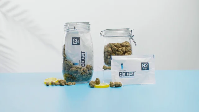 67-Gram Integra Boost 2-Way Humidity Control at 62% RH — Bong Outlet Canada