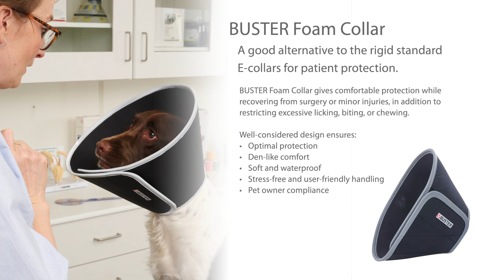 BUSTER Foam Collar.mp4