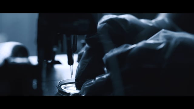 Related Embedded Video Item Thumbnail