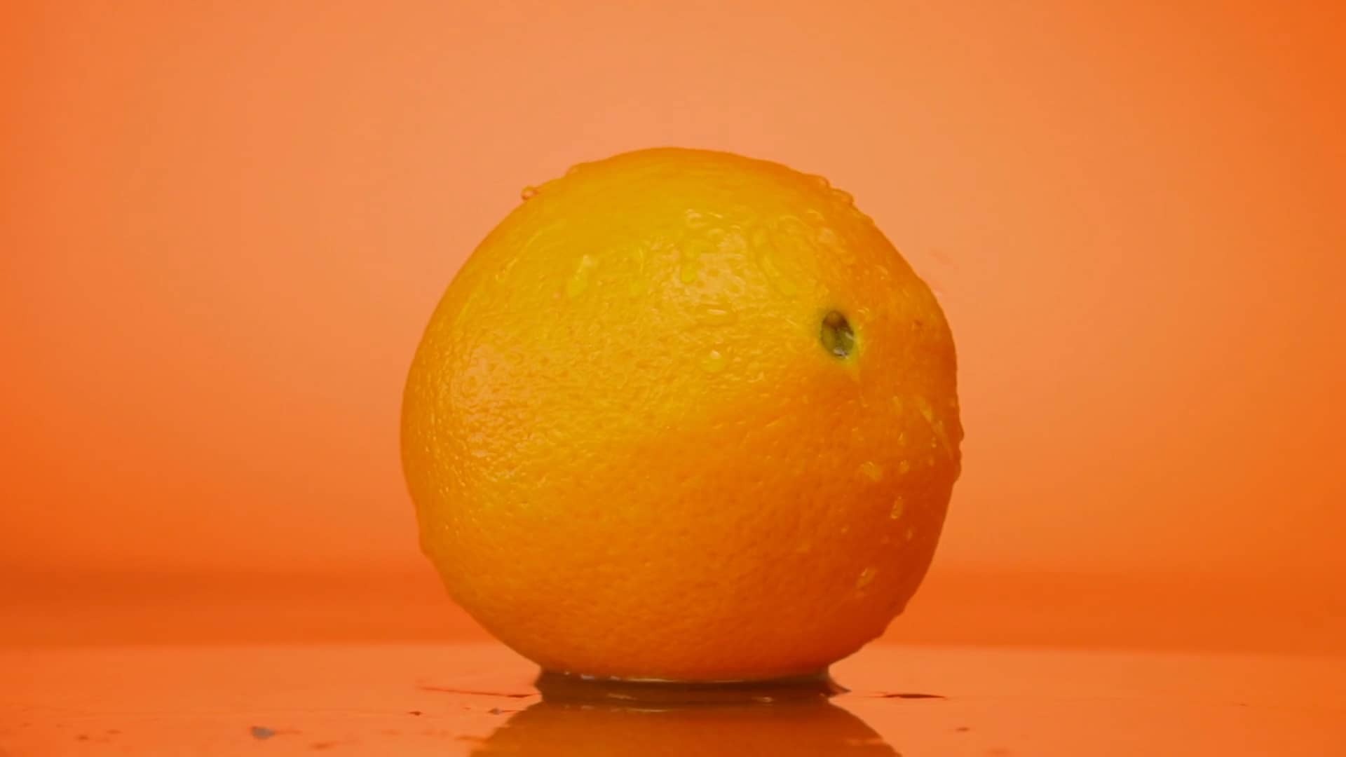 Loline Orange on Vimeo