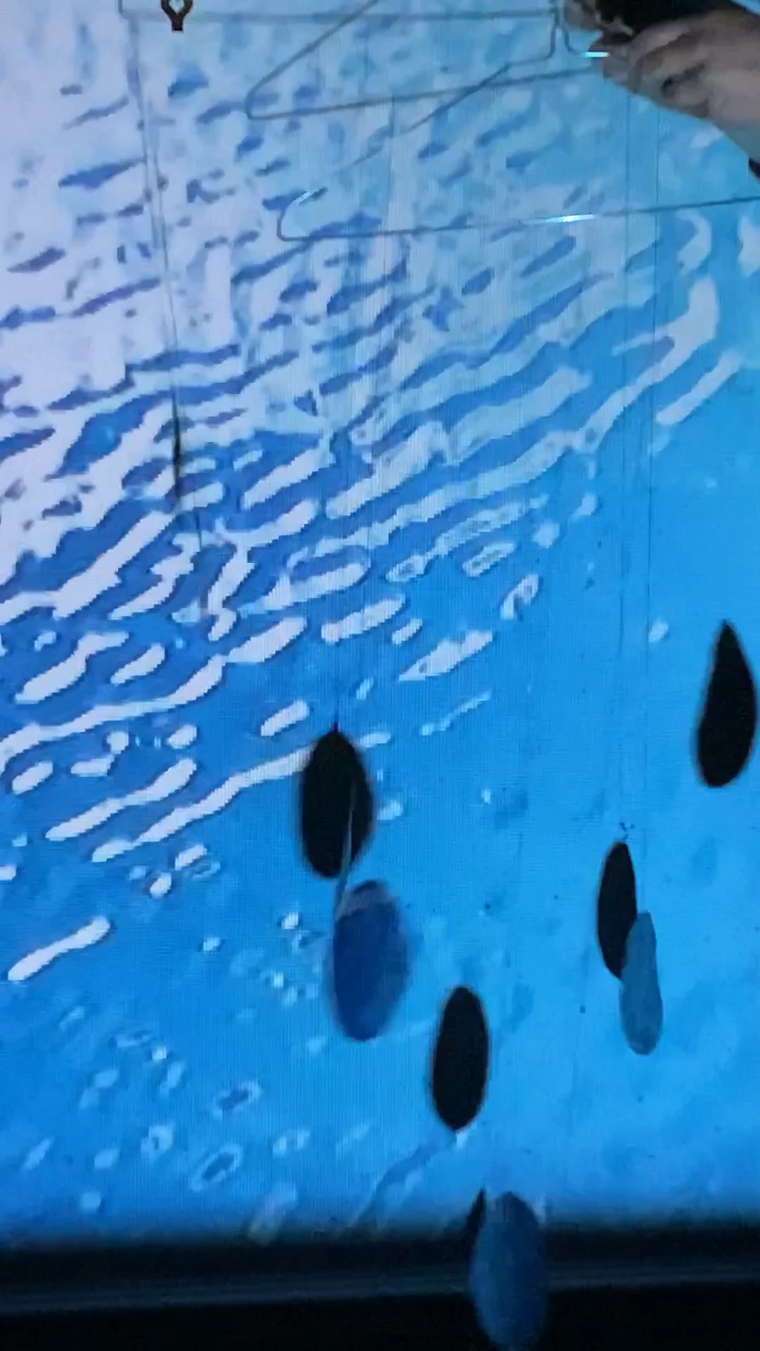 Experiment video on Vimeo