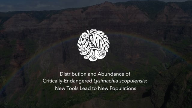 Distribution and Abundance of Critically-Endangered Lysimachia scopulensis:  New Tools Lead to New Populations