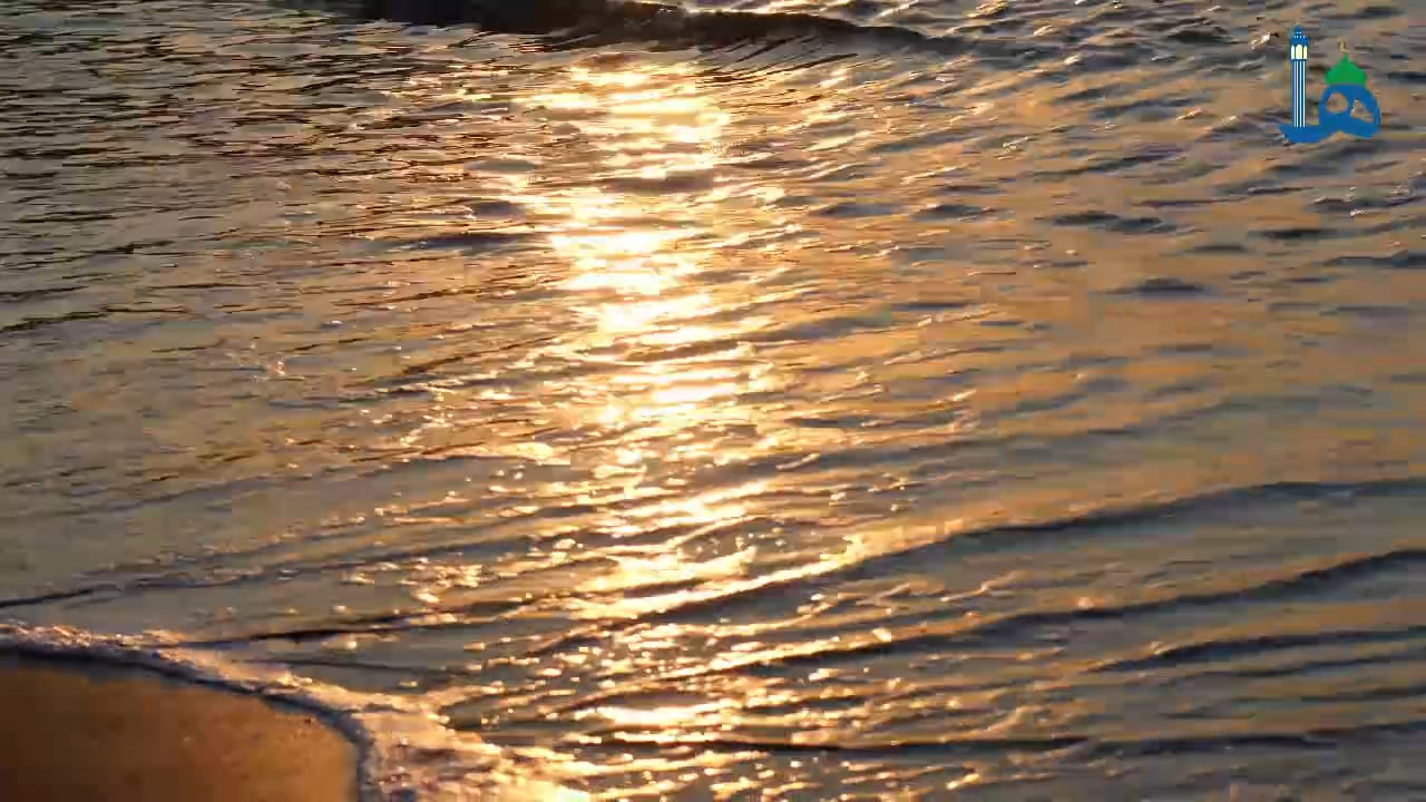 Sequence #1.mp4 on Vimeo