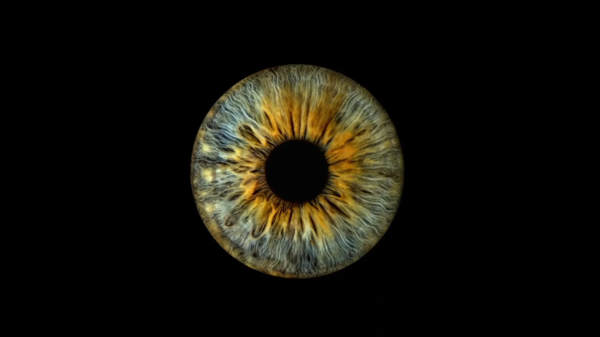 Title Sequence Final.mp4 on Vimeo