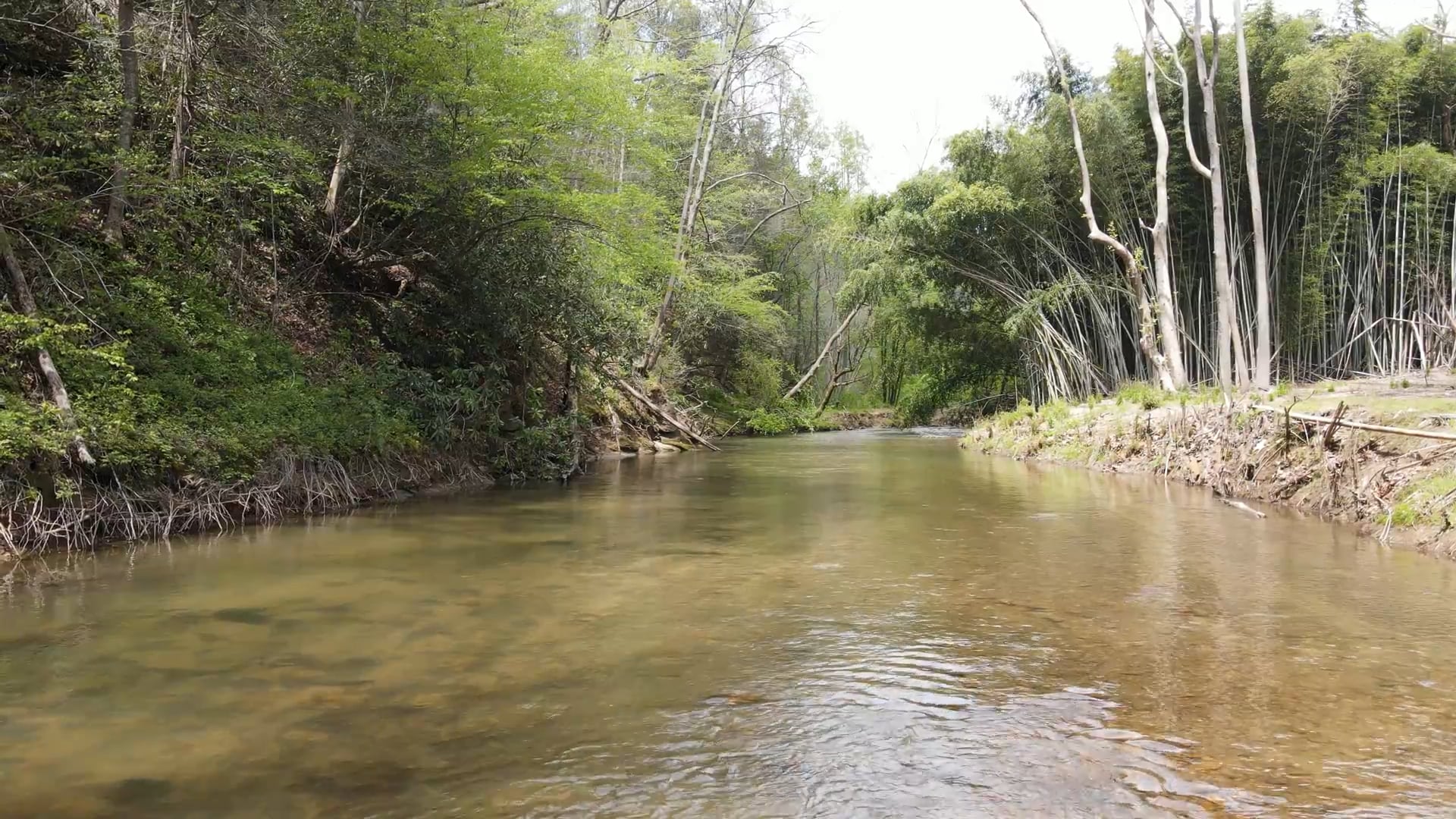 Stoney Fork Campground