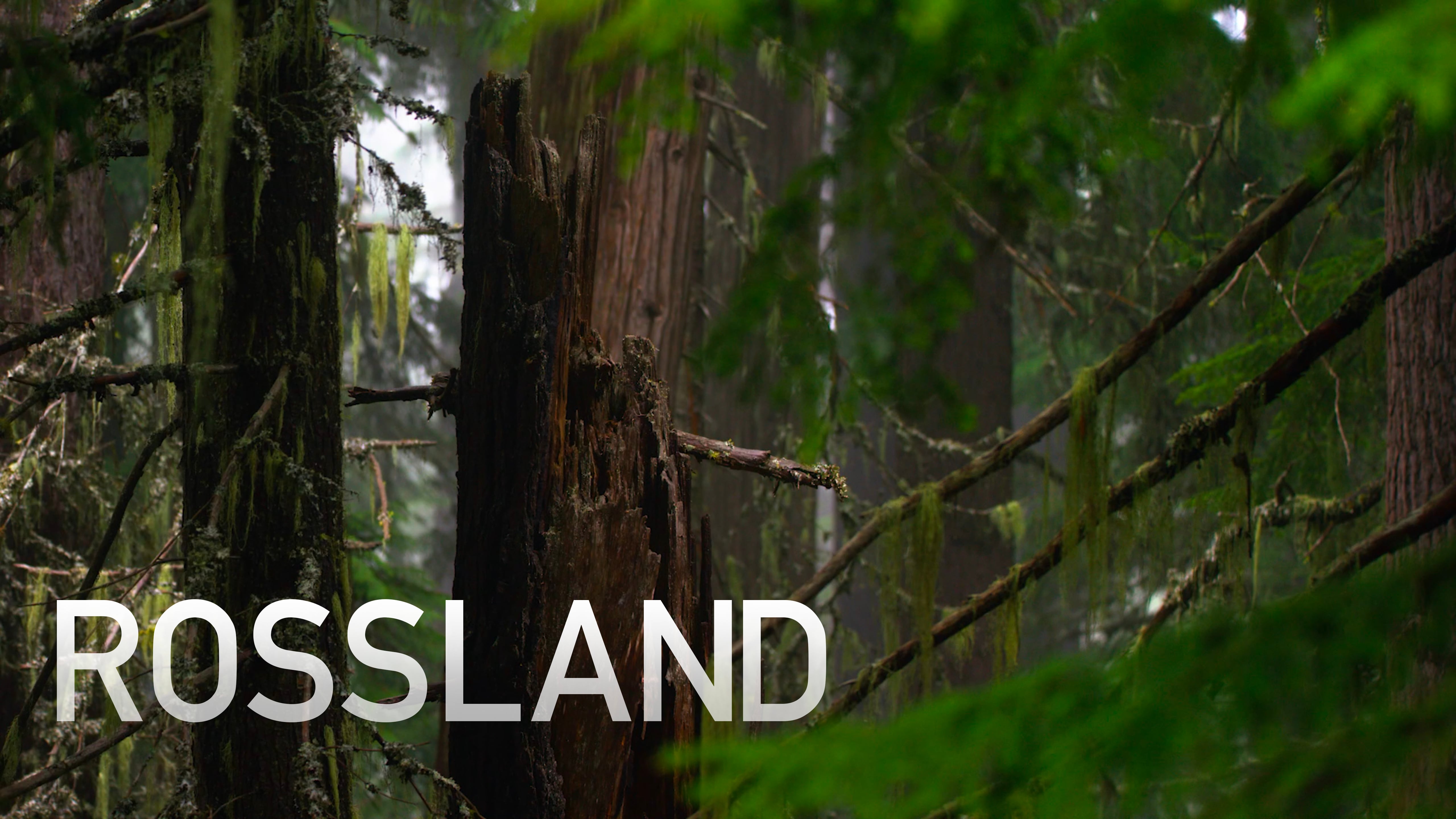 Rossland
