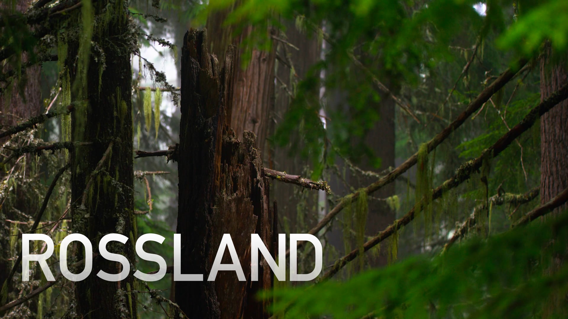Rossland