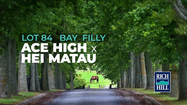 Lot 84