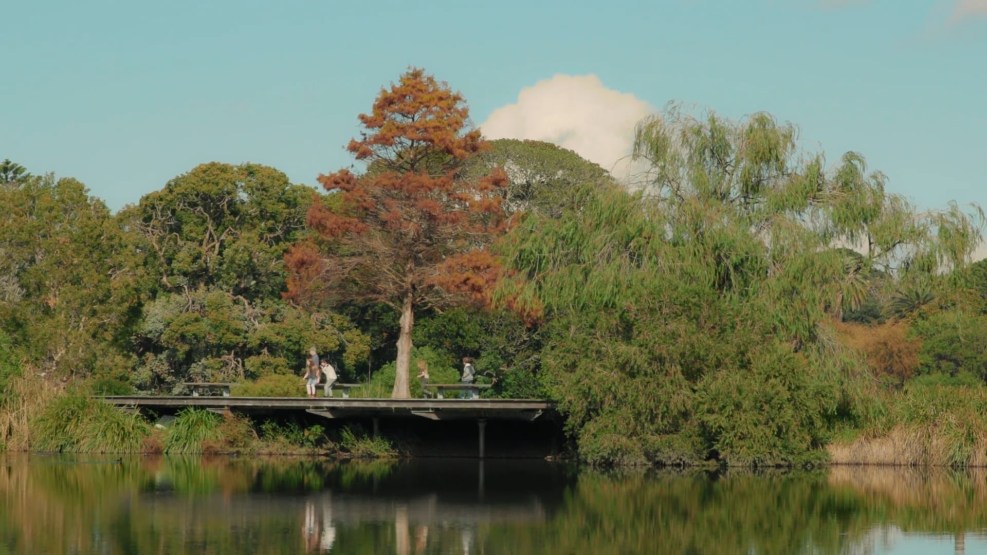 Nature Play | Centennial Parklands