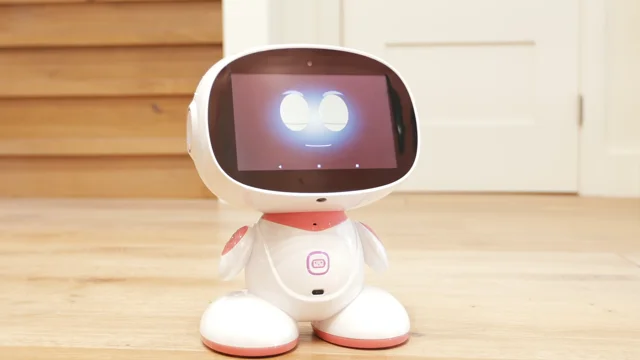 Meet Misa, the social family-friendly robot that does it all