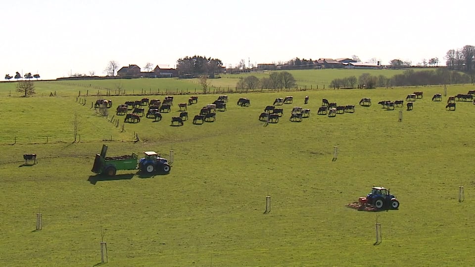 Testimonial New Holland Luc Hollands