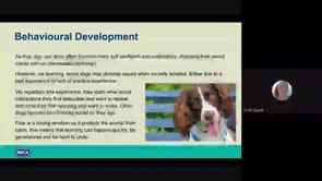 Puppies in RSPCA Care 12 weeks to adolescence part 2 of 3 - RSPCA Staff Contributors