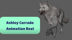 Vimeo video thumbnail for Graduate Reel (Ashley Corrado)