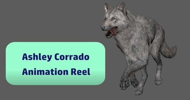 Vimeo video thumbnail for Graduate Reel (Ashley Corrado)