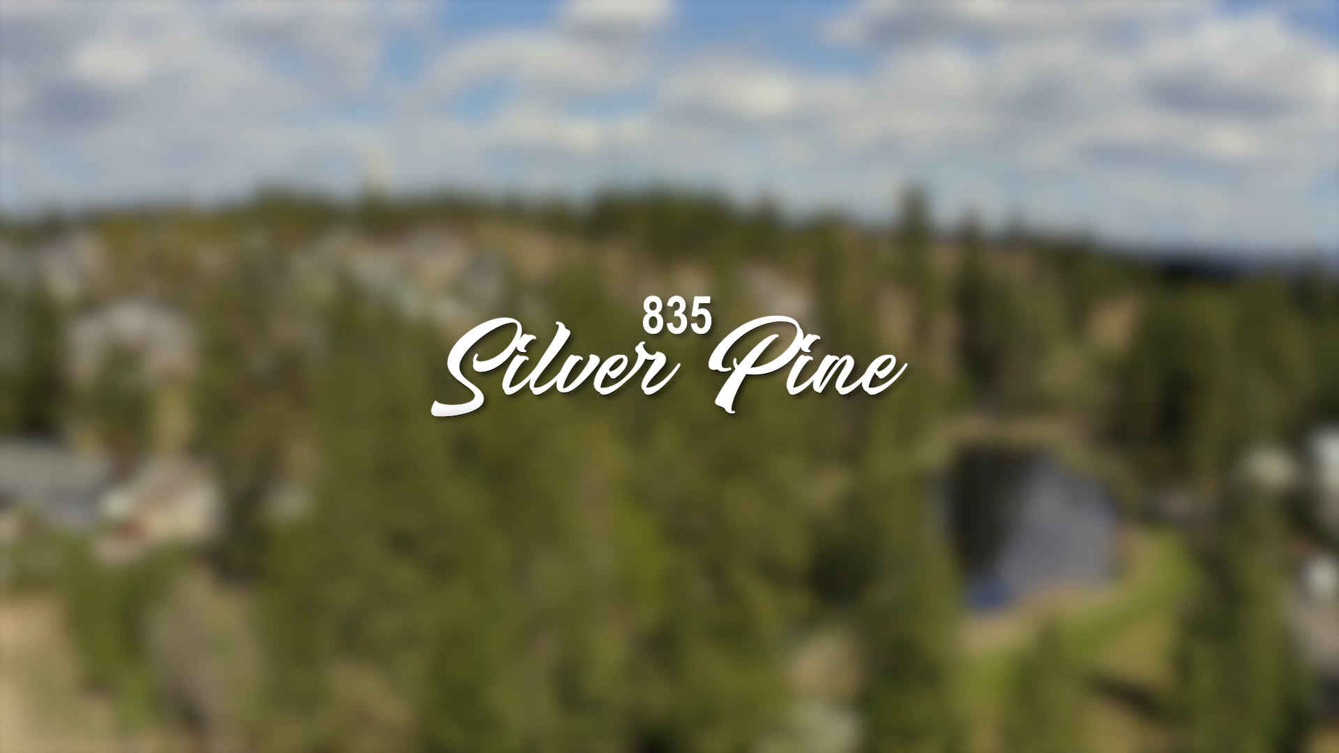 SILVER PINE