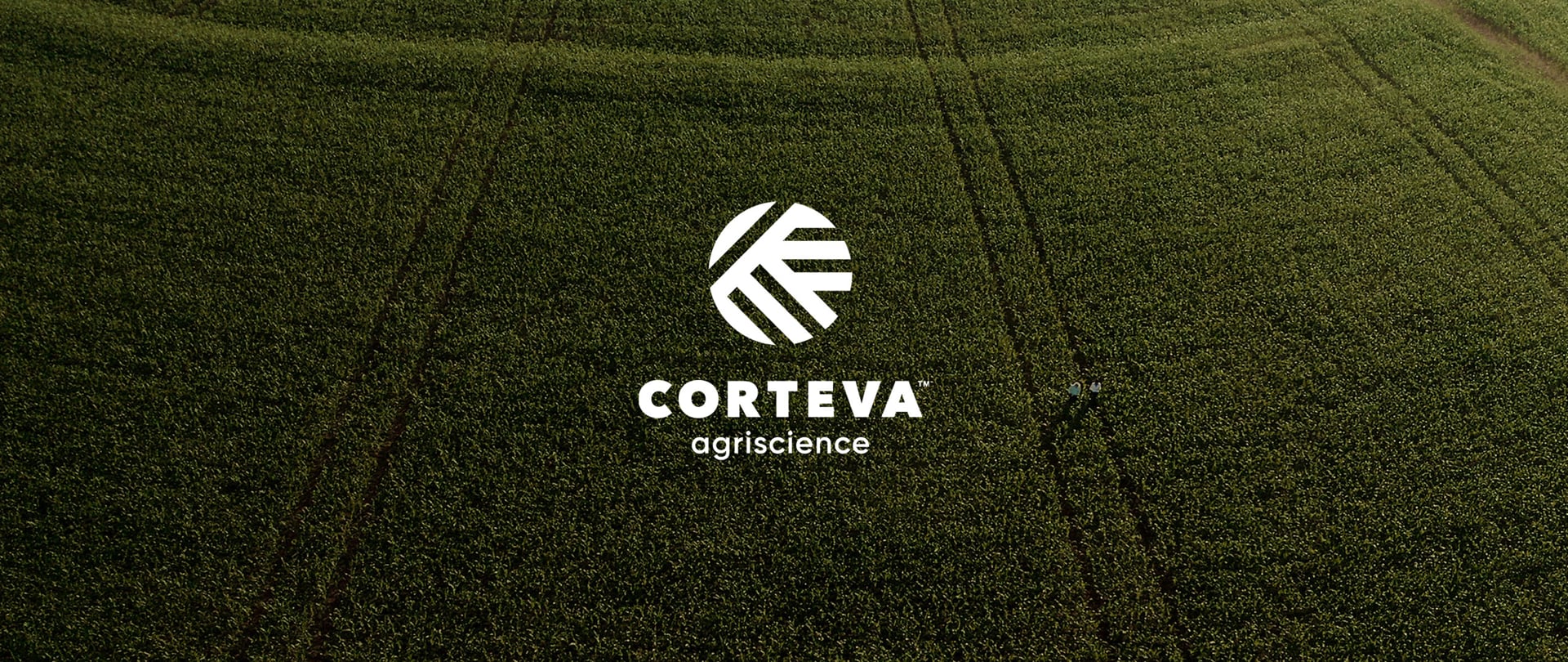 corteva agro agronegocio agricultura sementes plantações