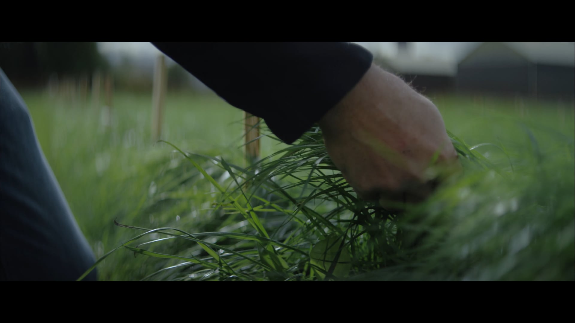Quality Seeds - Web - Our Story