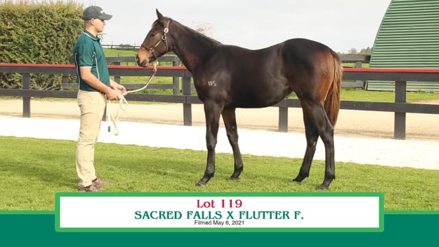 Lot 119