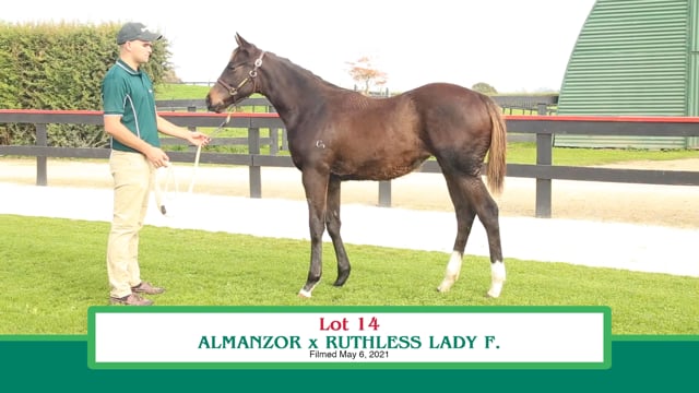 Lot 14