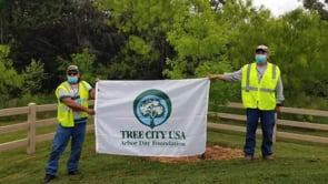 31st Year Waco Named Tree City