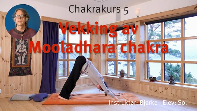 5. Vekking av Mooladhara chakra