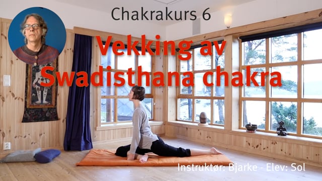 6. Vekking av Swadisthana chakra