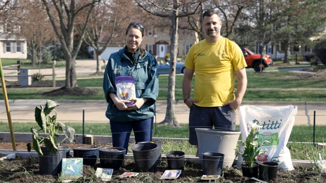 Summer-Blooming Bulbs Part 1: Starting Tender Bulbs in Containers Early Spring