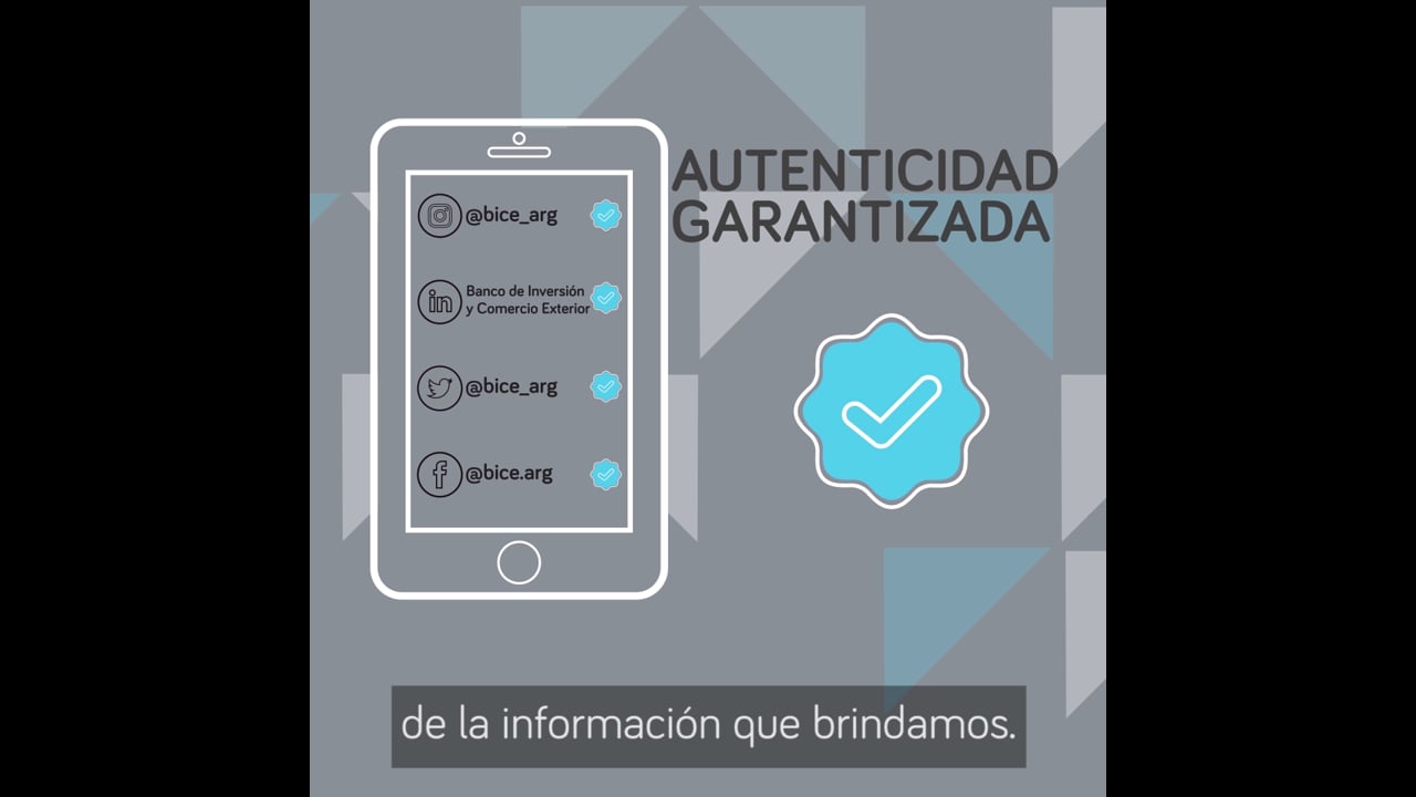 SEGURIDAD DIGITAL - BICE