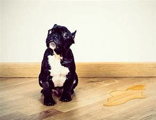 Peeing at Night - How NOT to fix it.